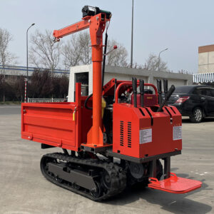 Crawler Dumper 750Kg With 500Kg Crane